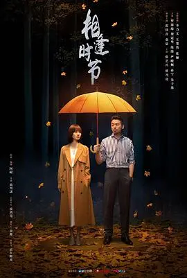 《相逢时节》：家庭伦理剧套皮科幻？当“怪异少女神隐”遇上现实的狗血！